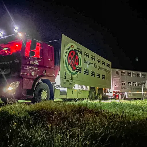 lrs-seoa-Lastwagen